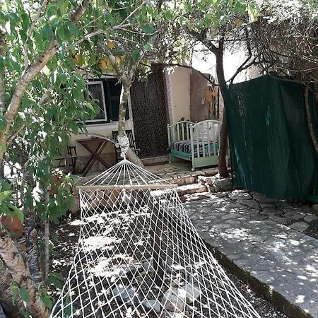 Ferienwohnung Casa Natasa Oziás Exterior foto