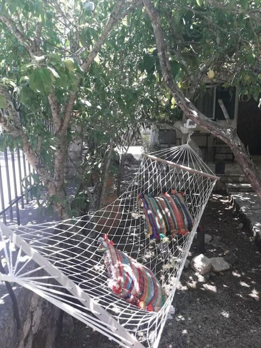 Ferienwohnung Casa Natasa Oziás Exterior foto