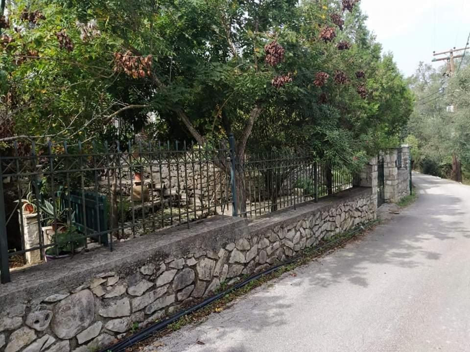 Ferienwohnung Casa Natasa Oziás Exterior foto