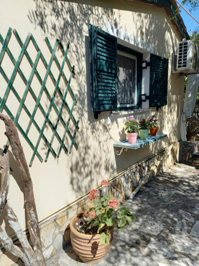 Ferienwohnung Casa Natasa Oziás Exterior foto
