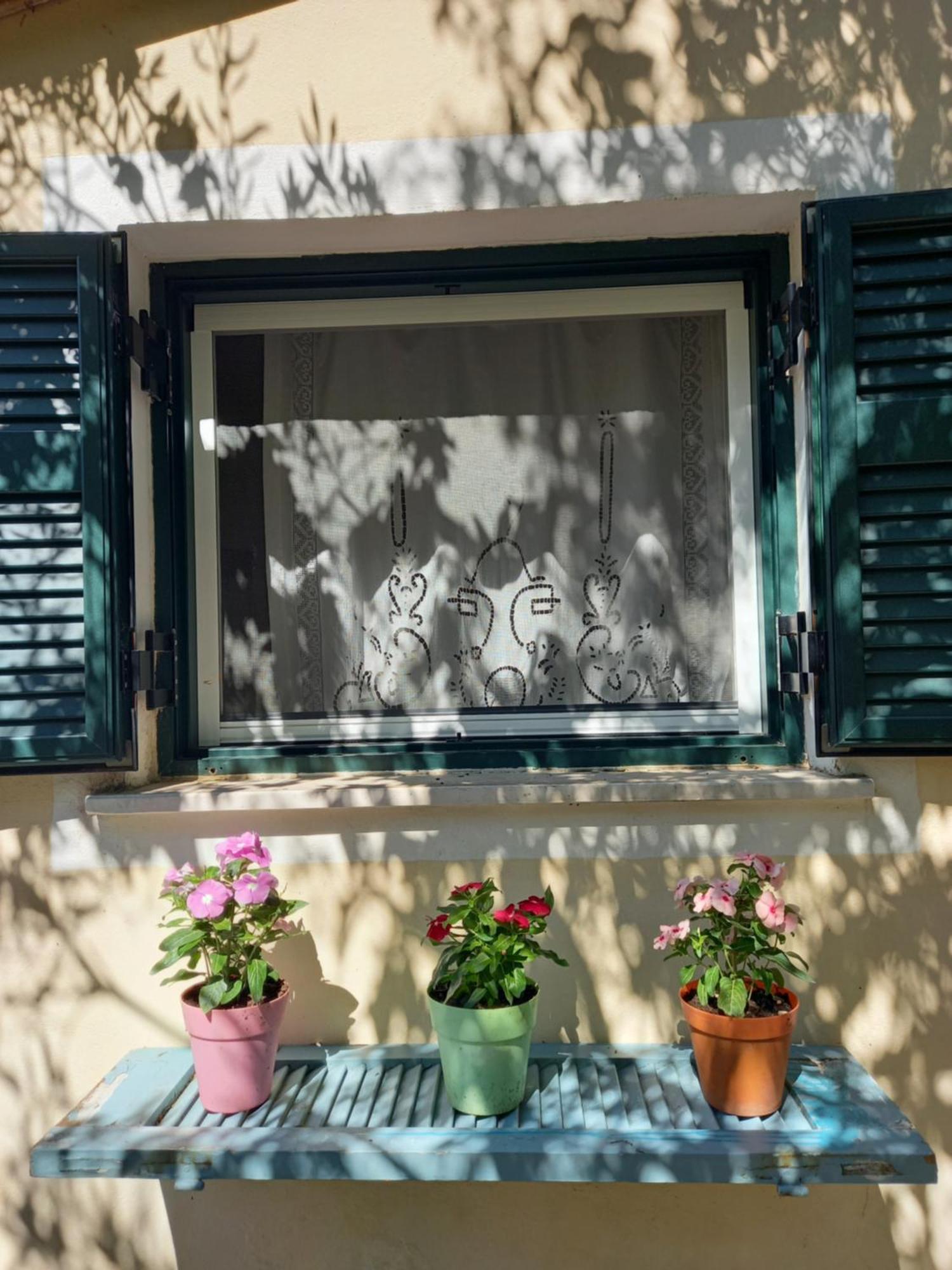 Ferienwohnung Casa Natasa Oziás Zimmer foto